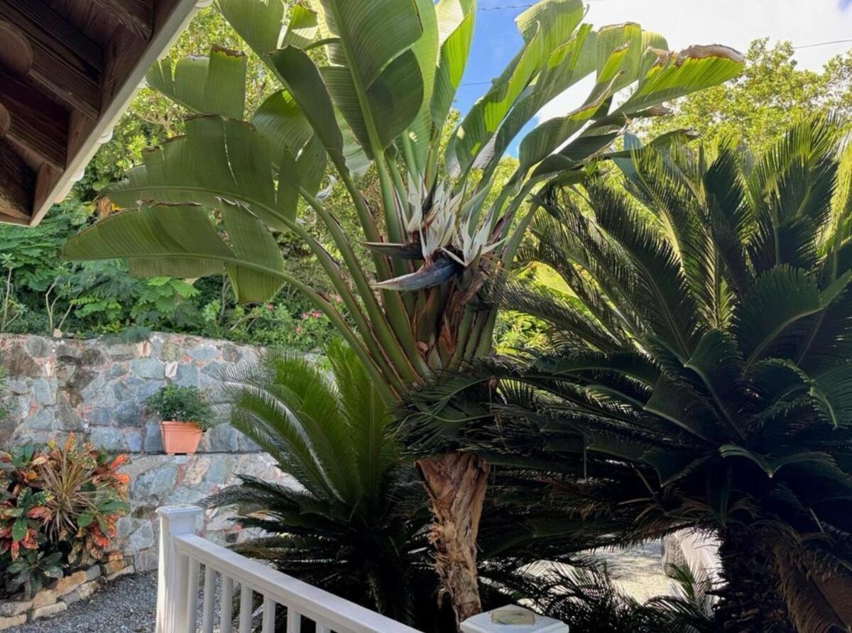 Blue Pearl Villa In St John Usvi Coral Bay 外观 照片