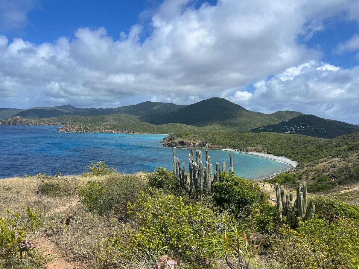 Blue Pearl Villa In St John Usvi Coral Bay 外观 照片