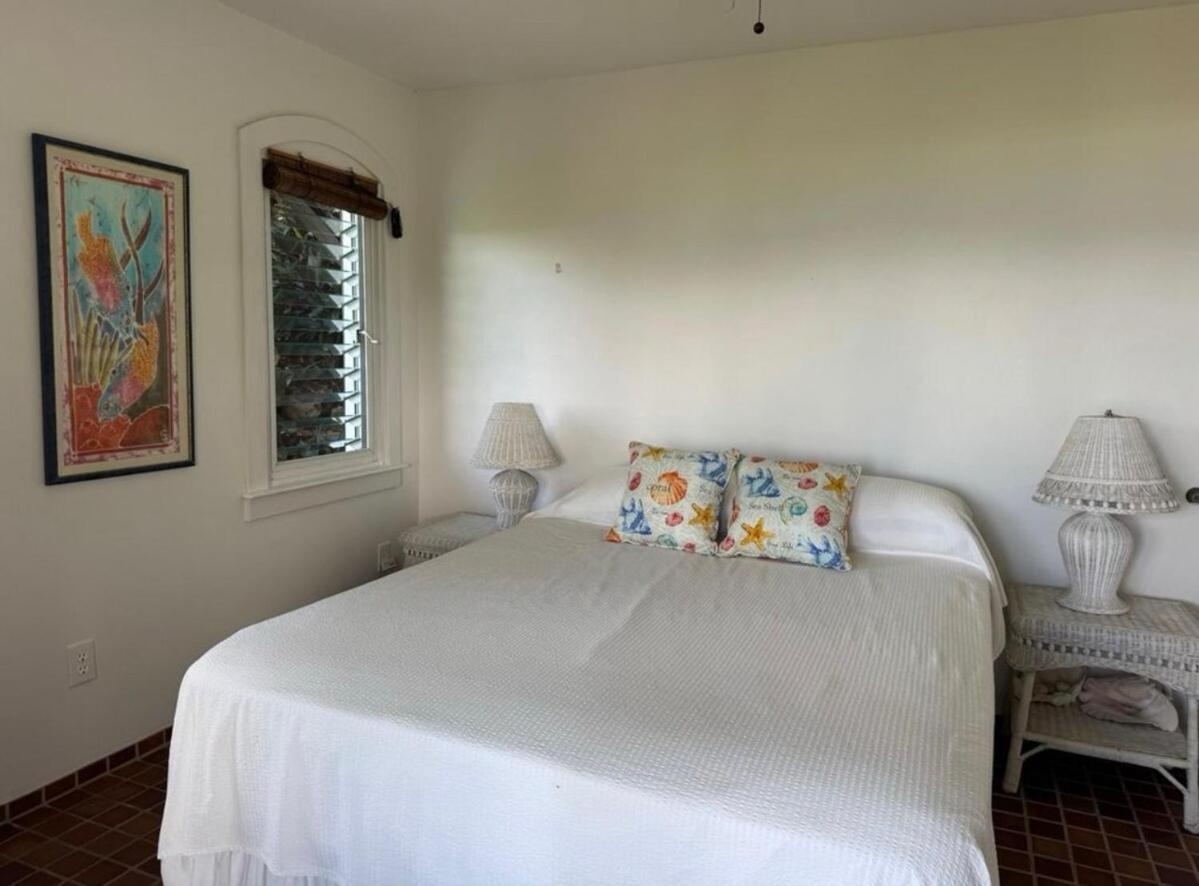Blue Pearl Villa In St John Usvi Coral Bay 外观 照片
